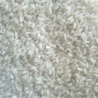 برنج عنبربو شوشتر