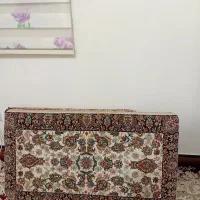 ۶عددپشتی