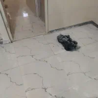 بنایی بازسازی