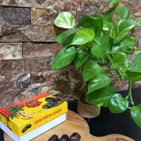 خرما رطب کیلو۳۰۰