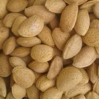 فروش 200کیلو بادام آبی
