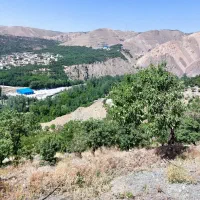 باغ-6500-متری-پرثمر-اتاق-دار-فقط-2-300-زیرقیمت