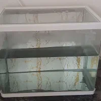 فروش آکواریوم با لوازم