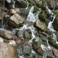 تور تفریحی رایگان