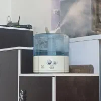 بخور سرد خارجی میسون