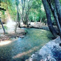 فروش-یا-معاوضه-زمین