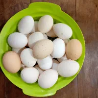 تخم مرغ بومی