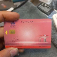 سید ریاض پیدا شده.