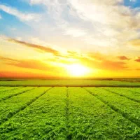 فروش زمین ۴۹۵ متری و موقعیت عالی و قیمت مناسب