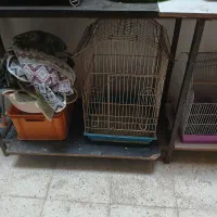 قفس پرنده|لوازم جانبی حیوانات|اسلام‌شهر, زرافشان|دیوار