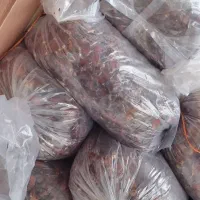 خمیر خرما و خرمای آبگیری