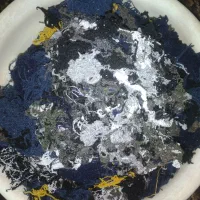 کاموا بالشتی