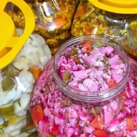 ترشی خانگی با قیمت عمده