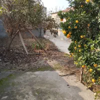 فروش فوری خونه کلنگی(نوذرآباد)|فروش زمین و ملک کلنگی|نکا, |دیوار