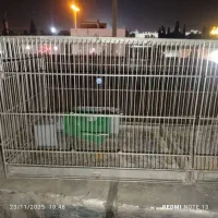 پرون|لوازم جانبی حیوانات|شیراز, سیاه سنگ|دیوار