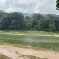 اجاره مغازه