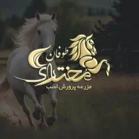 طراحی لوگو ،کارت تشکر ، بروشور تبلیغاتی 50٪ تخفیف|خدمات رایانه‌ای و موبایل|گرگان, |دیوار