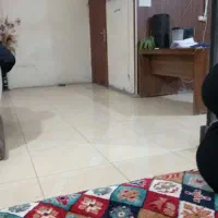 کار در سرای سنتی