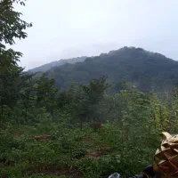 اجاره روزانه/هفتگی/ماهانه ویلا ۷۰۰متری