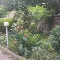 ویلا پای کوه|اجارهٔ کوتاهمدت ویلا و باغ|لاهیجان, لیالستان|دیوار