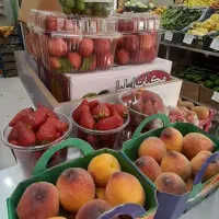 همکار جهت کار در میوه فروشی