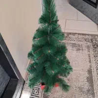 درختچه تزئینی