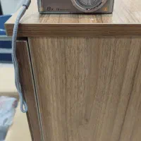 دوربین عکاسی پاناسونیک و کانن