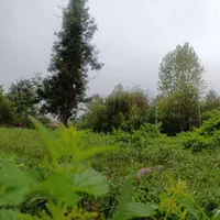 ۲۲۰ متر زمین مسکونی گلسرک سنگرسراوان جاده تهران|فروش زمین و ملک کلنگی|سنگر, |دیوار