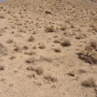 زمین مسکونی ۳۱۵ متر ورودی علی آباد پیشکوه
