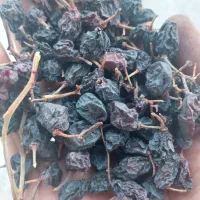 مویز سیاه سر دشت