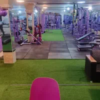 شریک سرمایه گذار باشگاه