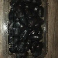 خرما|خوردنی و آشامیدنی|مشهد, موسوی قوچانی|دیوار