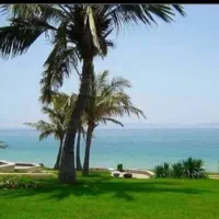 فروش و معاوضه زمین ۳۹۷۰ متری شهرک نریمان