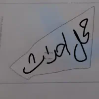 مشارکتی،مرغداری گوشتی،۲۰هزارقطعه