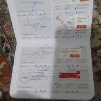 گربه دختر|گربه|شهریار, اسد‌آباد|دیوار