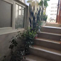 فروش گل های طبیعی زینتی در بدره