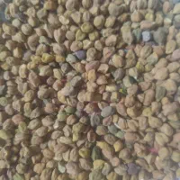 نخود قرمز تمیز هم برای لپه وبذری قیمت ۲۰۰ هزار