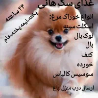 غذا سگ هانی