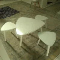 گل میز بهمراه میز وسط