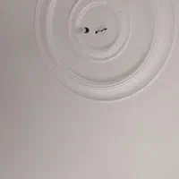 گچ کاری و لکه کاری صیادی|خدمات پیشه و مهارت|تربت جام, اسماعیل آباد|دیوار