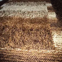 دو عدد گلیم فرش در حد نو|فرش|نورآباد ممسنی, |دیوار