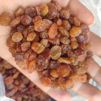 کشمش پلویی