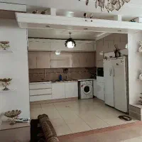 دکوراسیون راش|خدمات پیشه و مهارت|بروجرد, |دیوار