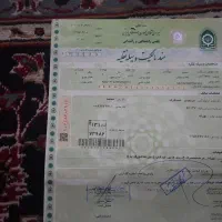 بوکسر۱۲۵|موتورسیکلت|تهران, آذری|دیوار