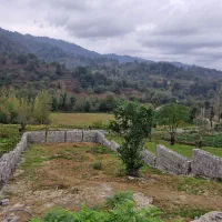 زمین 300 متری در چماچا