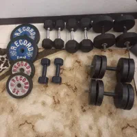 دمبل شش ضلعی و صفحه هالتر