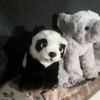 دوتا عروسک سالم هردو با هم ۵۵۰|اسباب‌بازی بچه|اصفهان, سپاهان‌شهر|دیوار