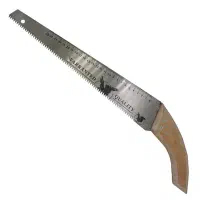 آره گمشده