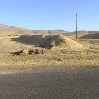 کاه گندم دیم درج یک