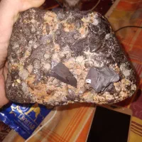 شهاب سنگ فک میکنم مریخی هست